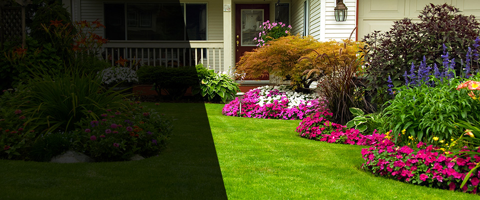Luck Landscapers