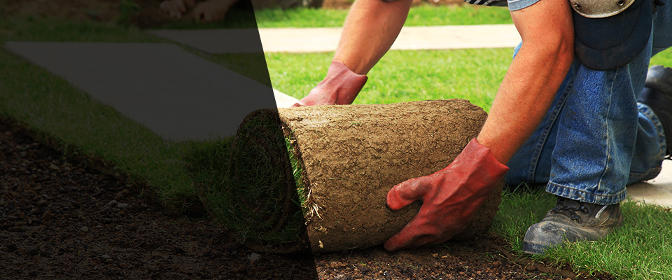 Luck Landscapers